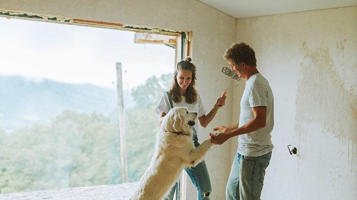 couple painting a wall in a house with a dog